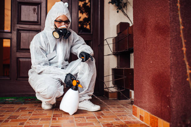 Reliable Wasp Removal contractor in Lakes West, CT by Show Me Pest Control